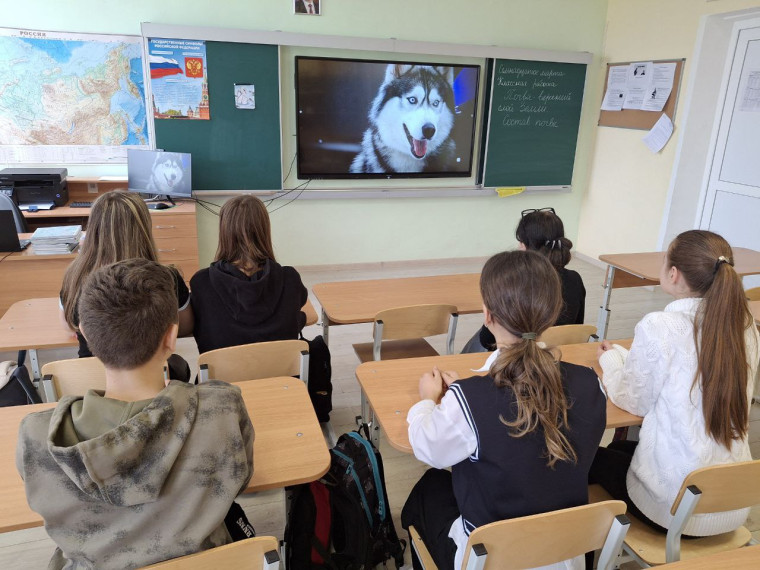 Дневник волонтёра-интерактивный курс..
