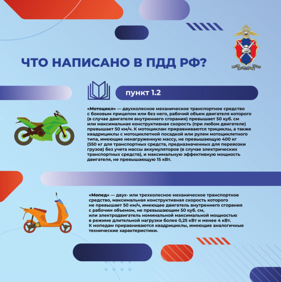 Что написано в ПДД в РФ?.